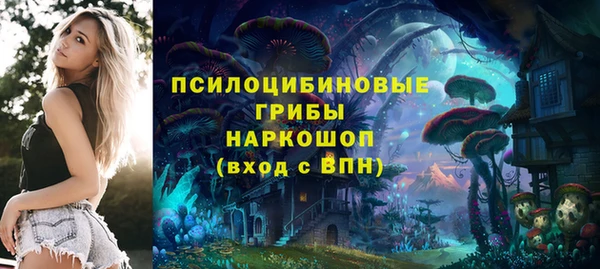 2c-b Весьегонск