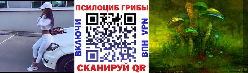 наркотики  Константиновск  Псилоцибиновые грибы Psilocybine cubensis 
